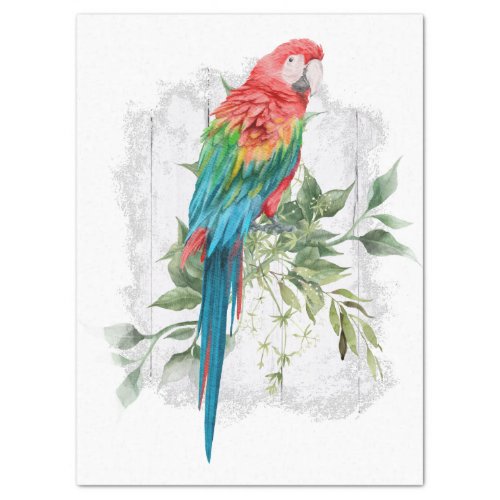 Macaw Parrot Eucalyptus Watercolor Tissue Paper