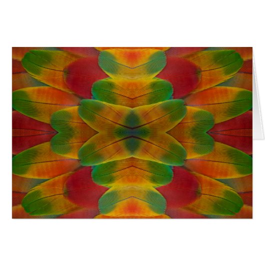 Macaw parrot feather kaleidoscope (Front Horizontal)