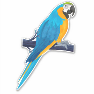 Macaw Parrot in Blue and Gold Sticker