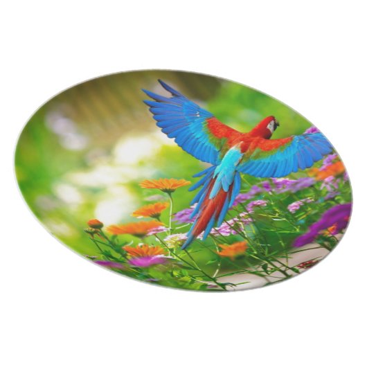 Macaw Parrot Melamine Plate (Right Side)