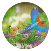 Macaw Parrot Melamine Plate (Front)