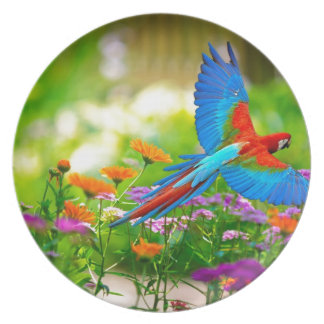 Macaw Parrot Melamine Plate