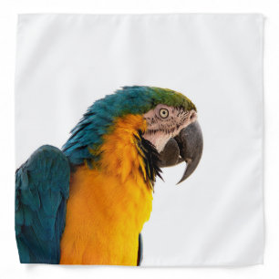 Macaw Parrot Photo Bandana