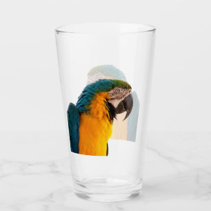 Macaw Parrot Photo Glass