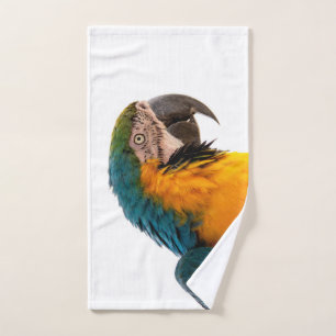 Macaw Parrot Photo Hand Towel