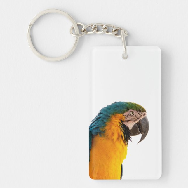Macaw Parrot Photo Keychain (Front)