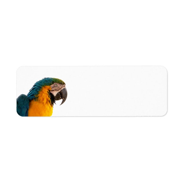 Macaw Parrot Photo Label (Front)