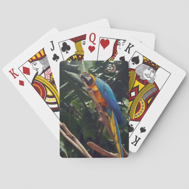 Macaw Parrot Poker Cards (Back)