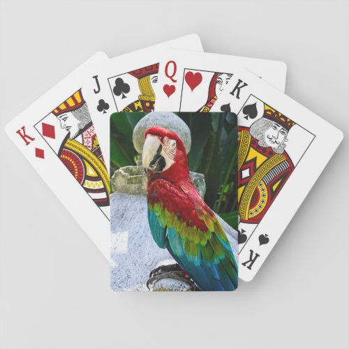 Macaw Parrot Poker Cards