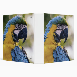 Macaw Parrot Profile Portrait Photograph 3 Ring Binder