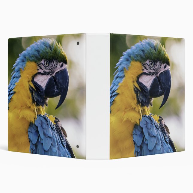 Macaw Parrot Profile Portrait Photograph 3 Ring Binder (Background)