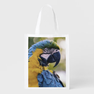 Macaw Parrot Profile Portrait Photograph Grocery Bag