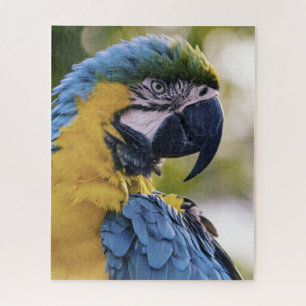 Macaw Parrot Profile Portrait Photograph Jigsaw Puzzle