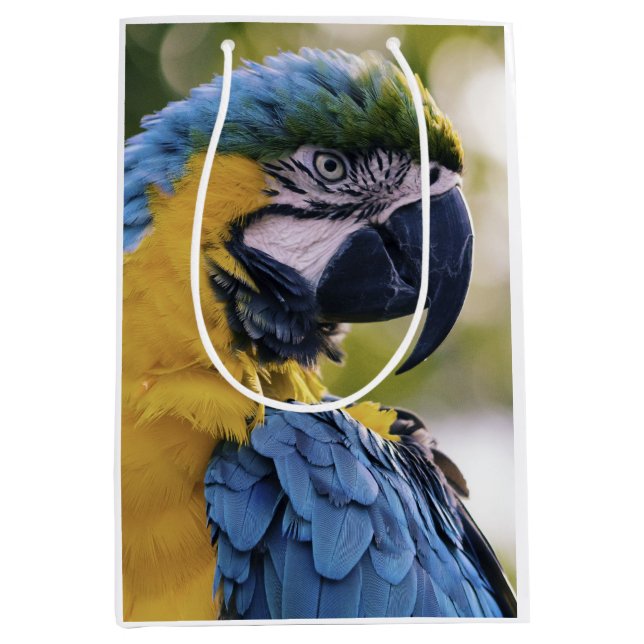 Macaw Parrot Profile Portrait Photograph Medium Gift Bag (Front)