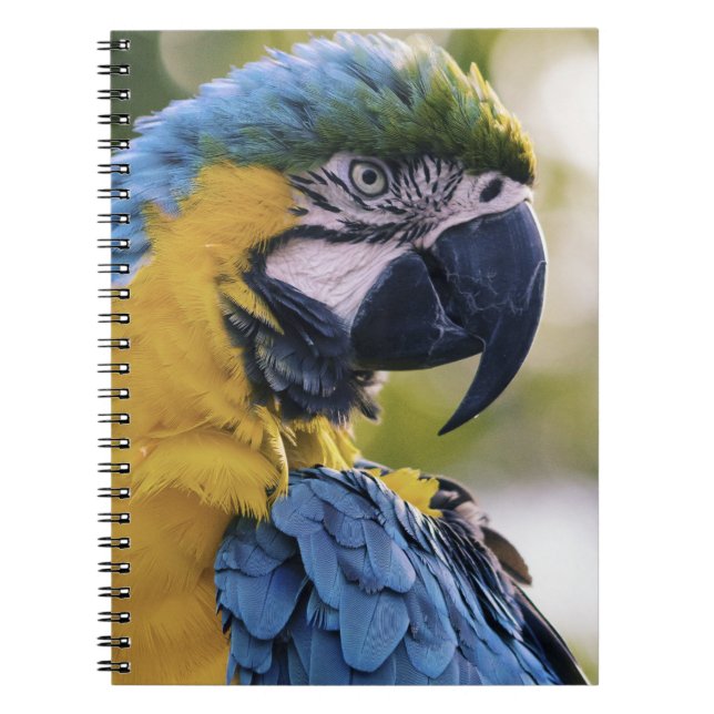 Macaw Parrot Profile Portrait Photograph Notebook (Front)