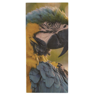 Macaw Parrot Profile Portrait Photograph Wood Flash Drive