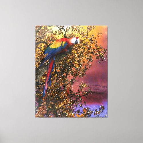 MACAW PARROT RAIN FOREST OUTPOST CANVAS PRINT