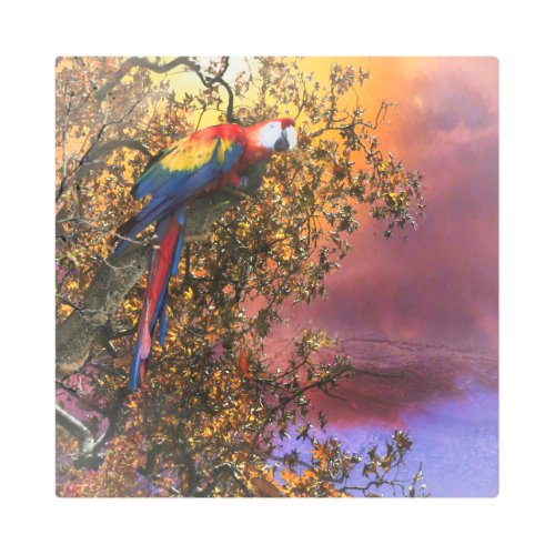 MACAW PARROT RAIN FOREST OUTPOST METAL PRINT