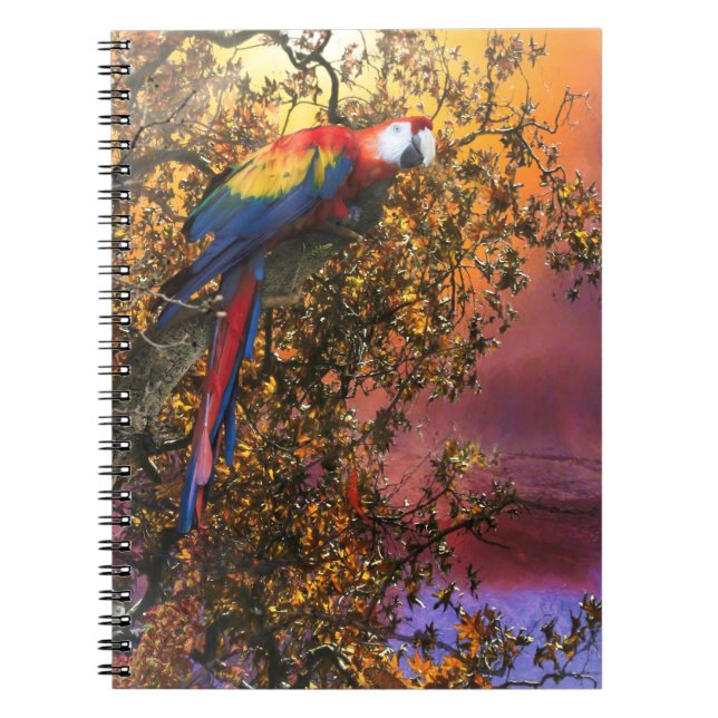 MACAW PARROT RAIN FOREST OUTPOST NOTEBOOK (Front)