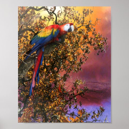 MACAW PARROT RAIN FOREST OUTPOST POSTER