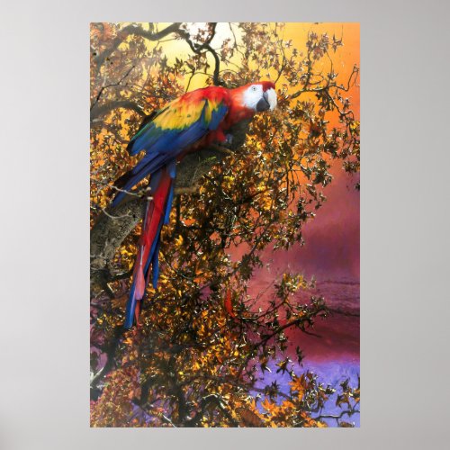 MACAW PARROT RAIN FOREST OUTPOST POSTER