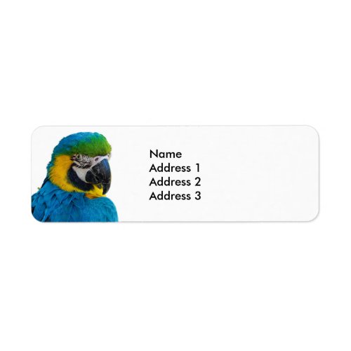 Macaw Parrot Return Address Labels
