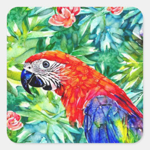 Macaw Parrot Square Sticker