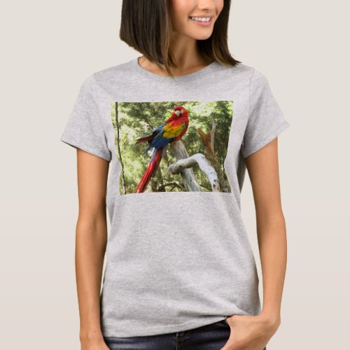 Macaw Parrot T_shirt