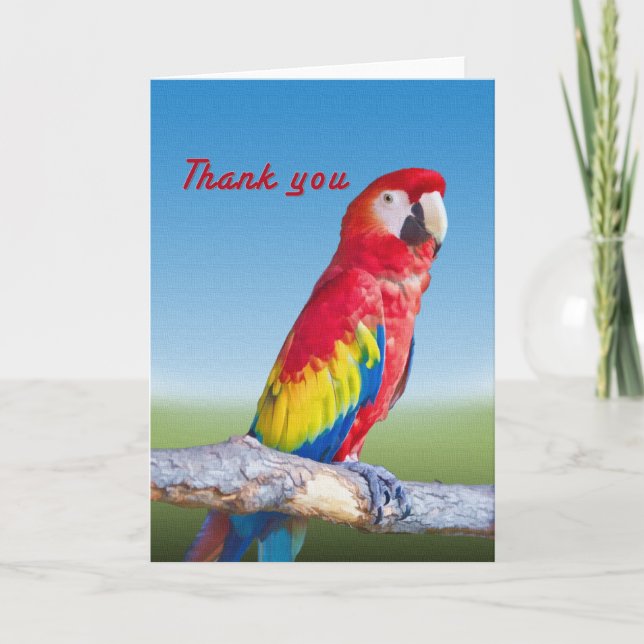 Macaw Parrot Thank You Card (Front)