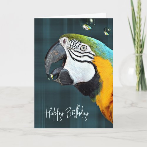 Macaw Parrot with Bubbles Birthday  Card