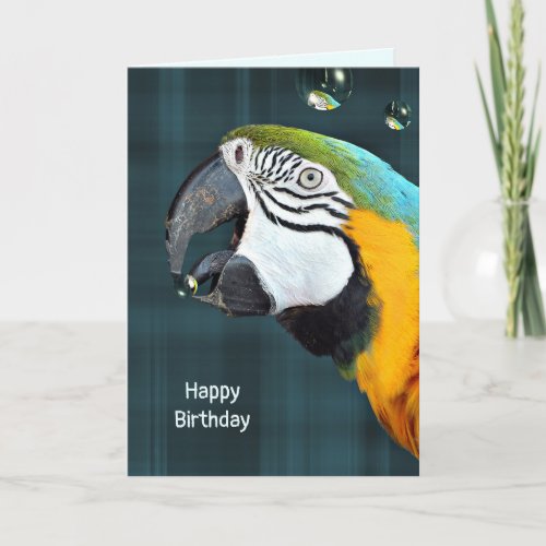 Macaw parrot with bubbles birthday on plaid card