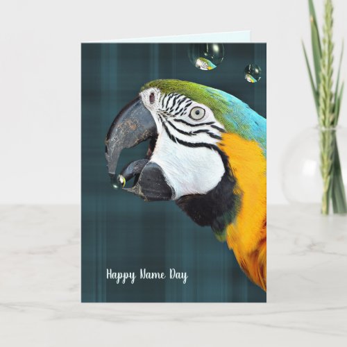 Macaw parrot with bubbles Name Day on plaid Card