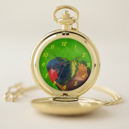 Macaw Parrot with Colorful Feathers Red Beak Green Pocket Watch