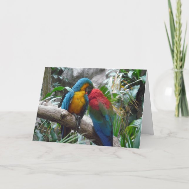 Macaw Parrots Bird Thank you, Note Card (Front)