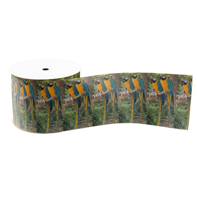Macaw Parrots Photo Ribbon  (Creator Uploaded)