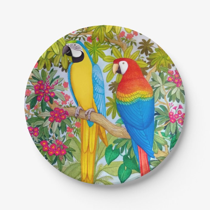 bird paper plates