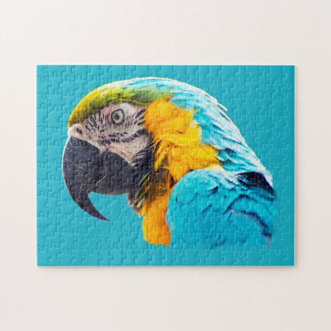 Macaw portrait on a turquoise background jigsaw puzzle (Horizontal)