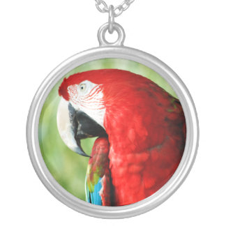 Macaw Portrait Silver Plated Necklace