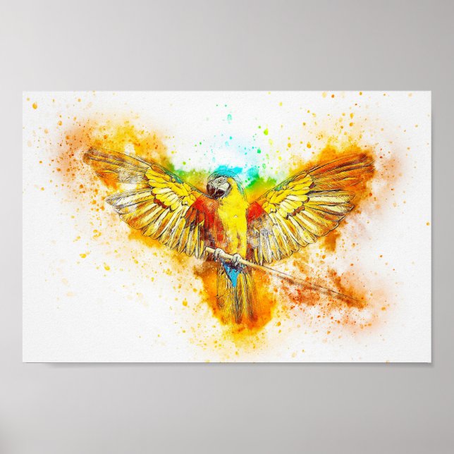 Macaw Poster (Front)