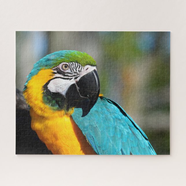 Macaw Print, Value Poster Paper (Matte) Jigsaw Puzzle (Horizontal)