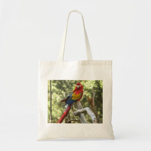 Macaw Red Parrot Bird Pretty Photograph Tote Bag