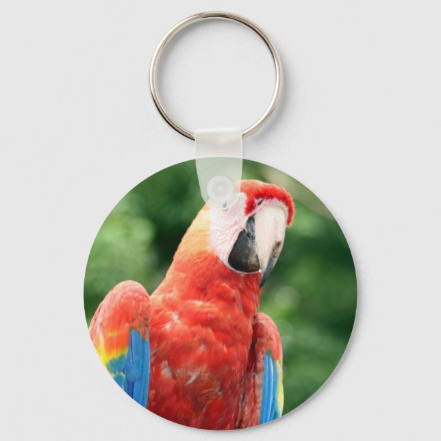 macaw scarlet face keychain (Front)