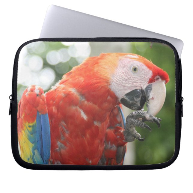 macaw scarlet laptop sleeve (Front)