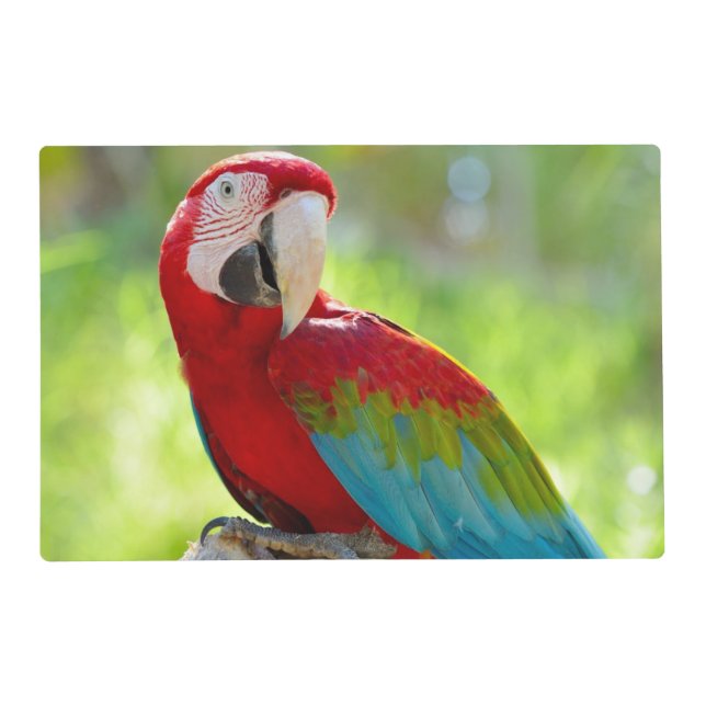 Macaw sitting on branch placemat (Front)