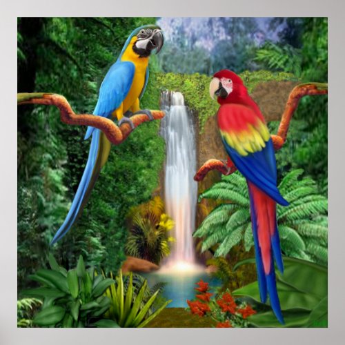 Macaw Tropical Parrots Poster