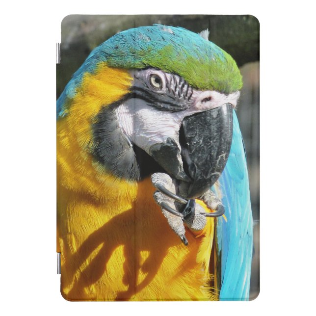 MACAWS  iPad PRO COVER (Front)