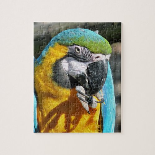 MACAWS JIGSAW PUZZLE