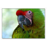 Macaws Table Number