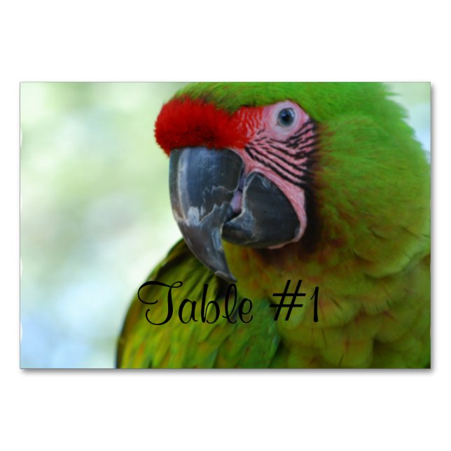 Macaws Table Number (Front)