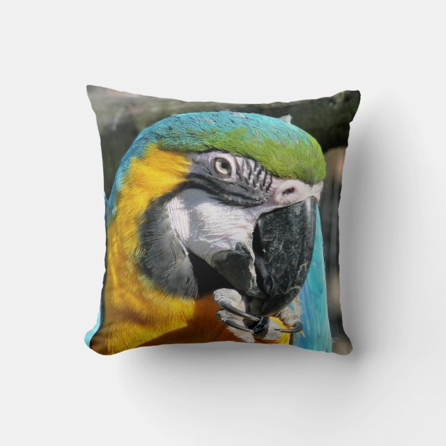 MACAWS THROW PILLOW (Front)